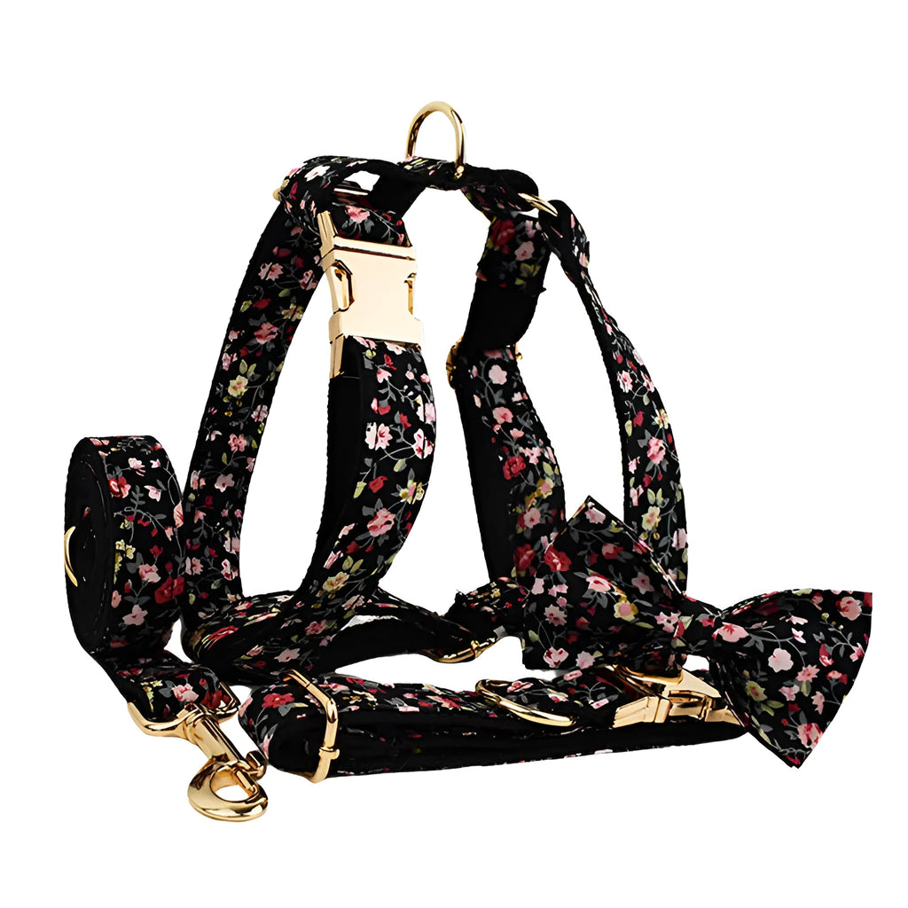 Four-piece dog accessory set showing removable bow collar, leash, vest and decorative bows in coordinated colours