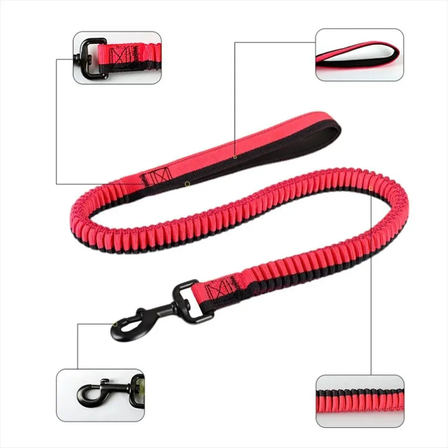 Green elastic dog training leash with metal clip for medium to large dogs