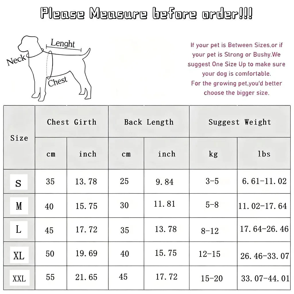Four-legged cotton dog coat for small breeds with D-ring in brown colour on a Bichon Frise