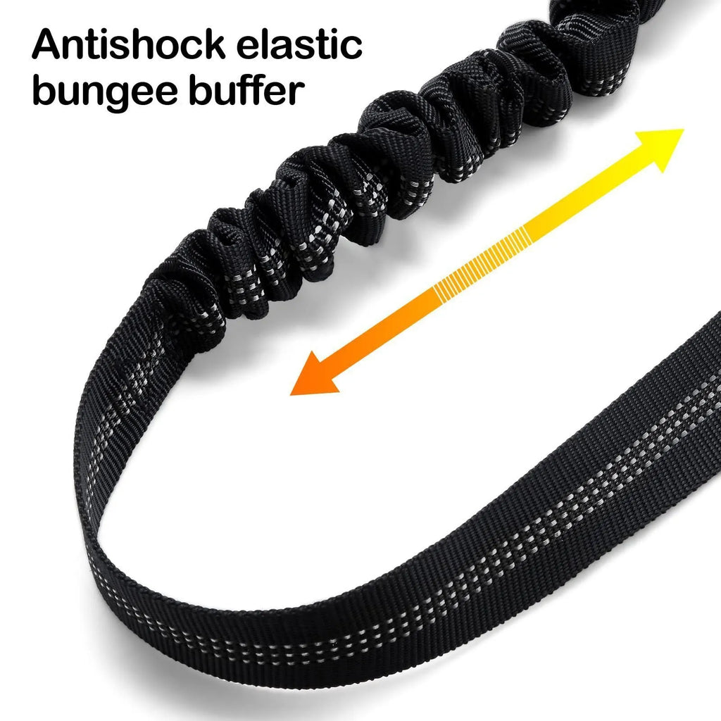 Nylon dog leash with metal buckle in one of eleven colour options including green, blue, pink and red.