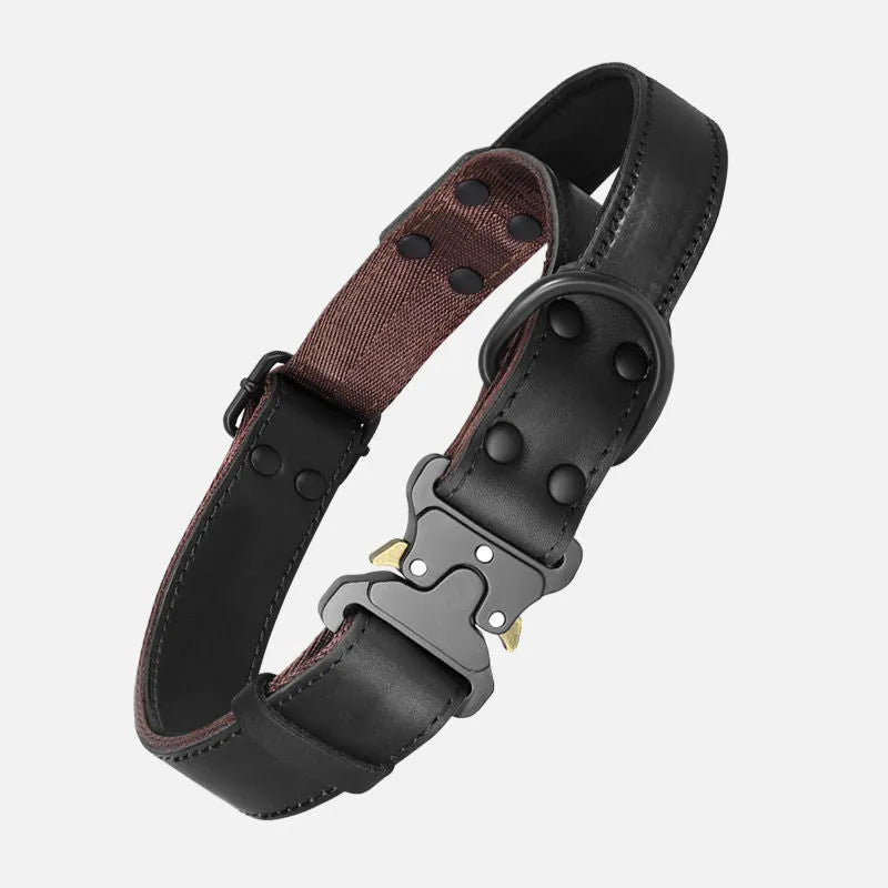 Black leather dog collar with matching explosion-proof pulling rope for large breeds