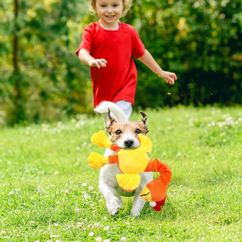 Chicken-shaped dog squeaker toy in orange colour showing bite-resistant rubber construction