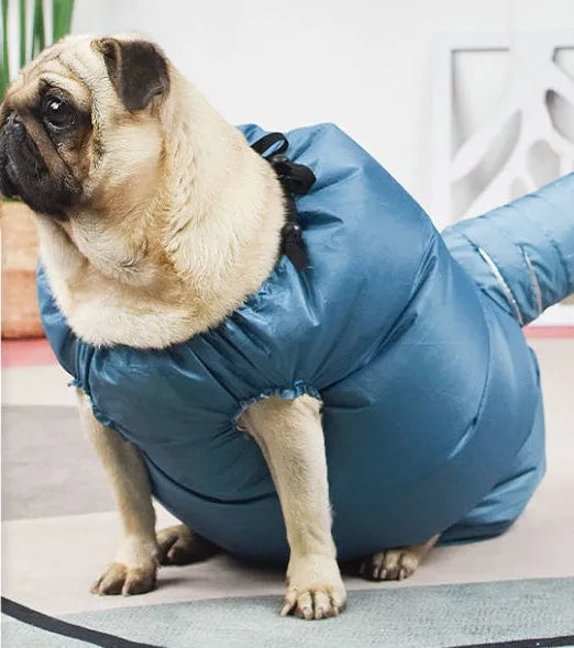 Blue automatic dog drying bag with quick drying hair dryer function, Oxford cloth and silver-plated film, sizes S to XXL.