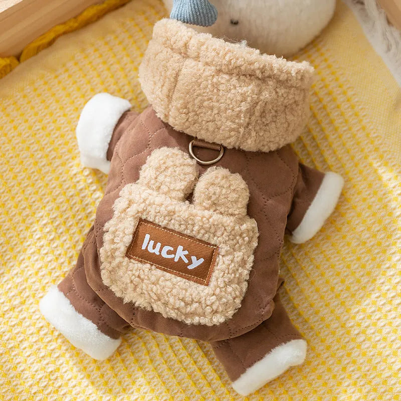 Four-legged cotton dog coat for small breeds with D-ring in brown colour on a Bichon Frise