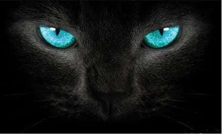 3D car rear window glass sticker, 130 x 70 cm single-through mesh universal decal in Cat style