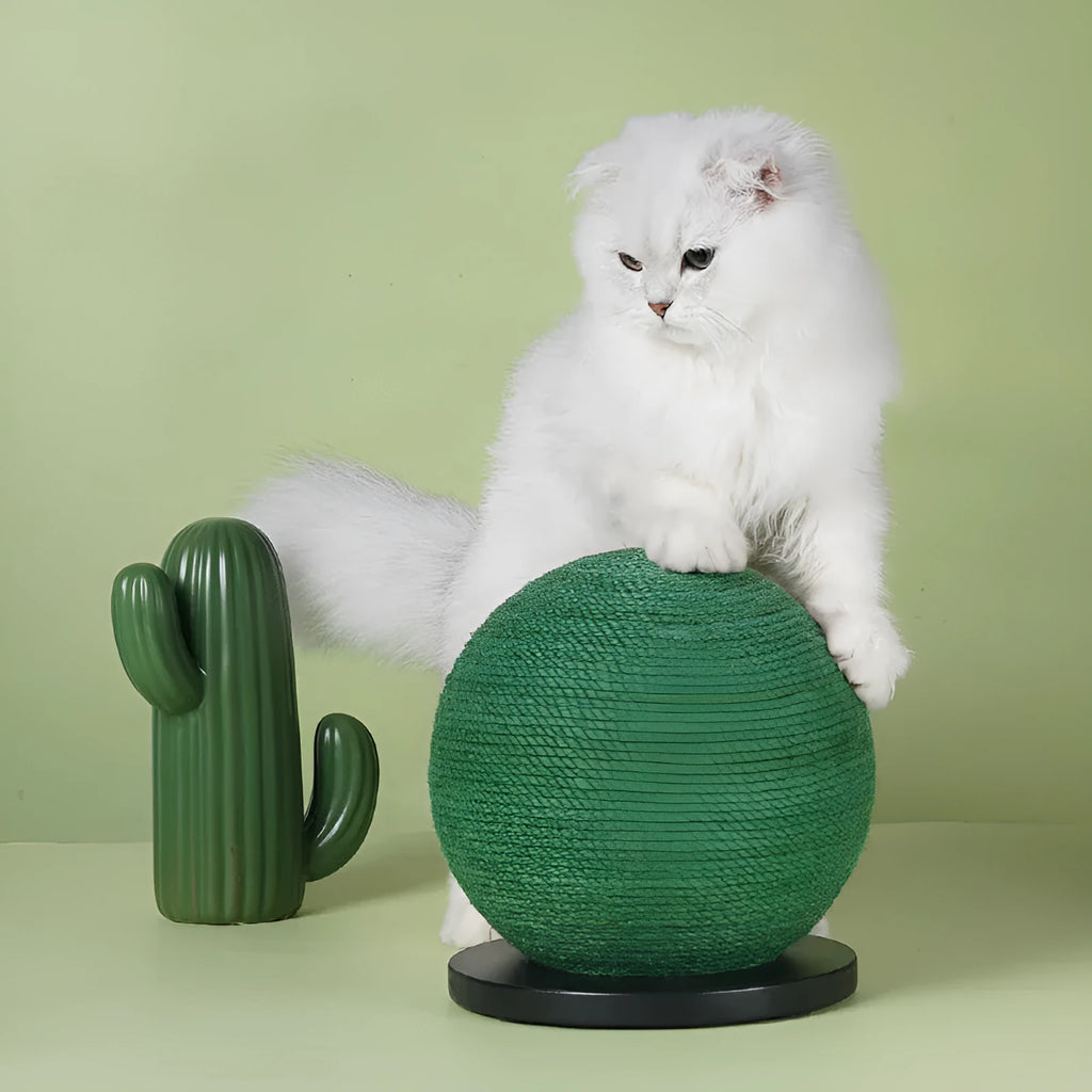 Cactus-shaped cat scratching ball board with sisal rope, 20 x 20 x 22 cm, black or white background option