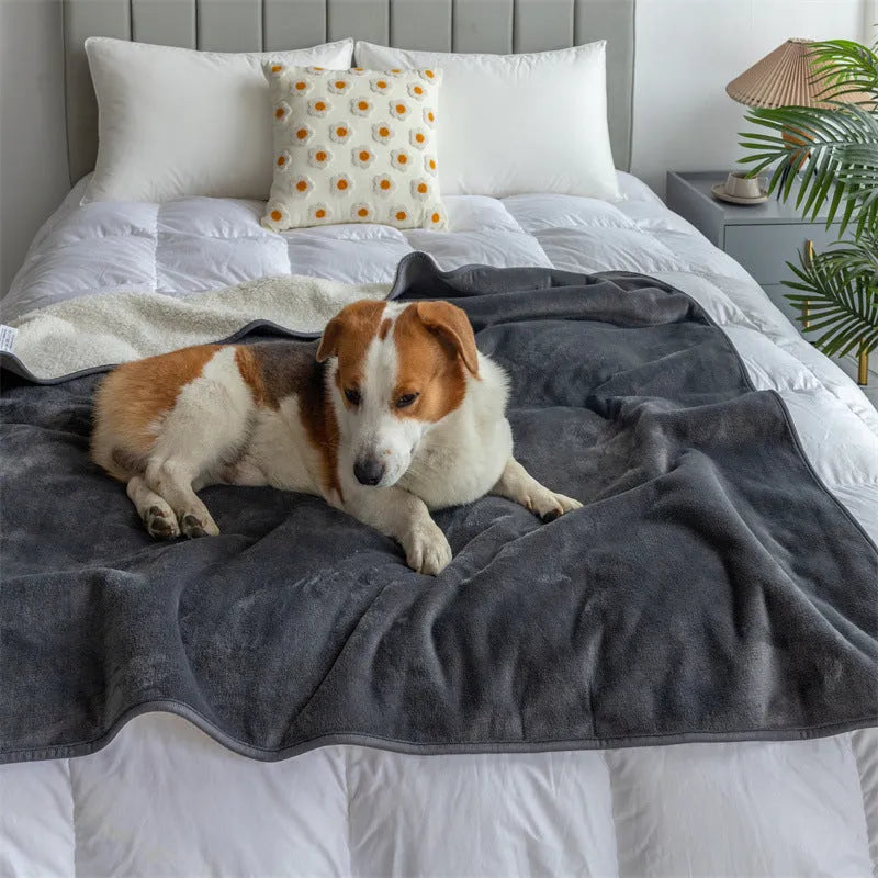Lambswool gray waterproof pet blanket, 75x100cm size, foldable on a sofa