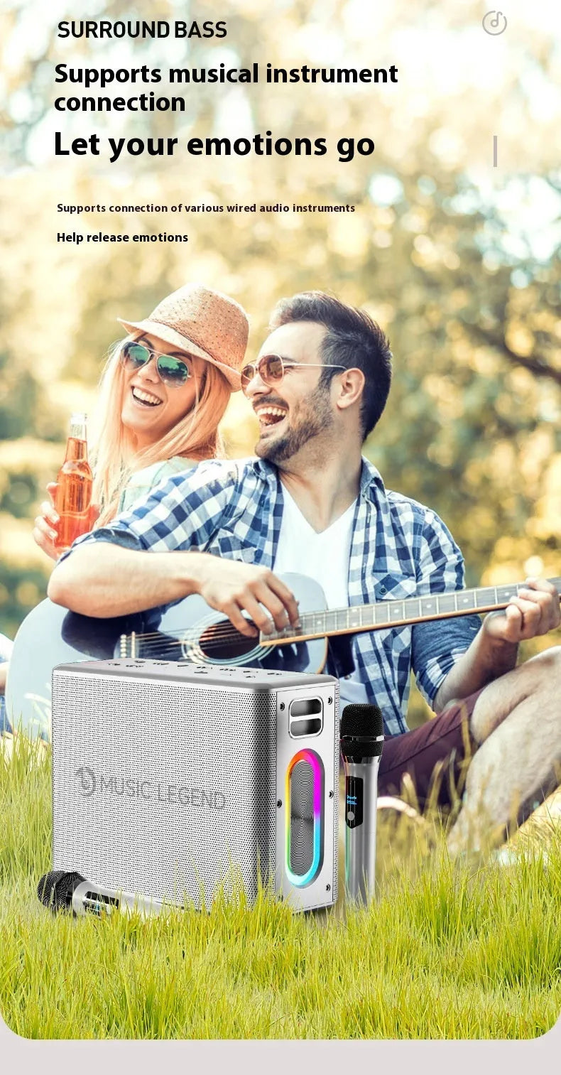 High-power outdoor karaoke Bluetooth speaker with dual microphones, 100W, waterproof, V60 black
