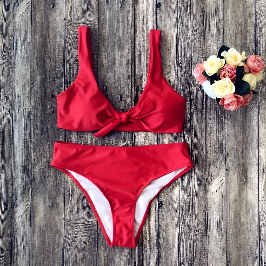 European style solid colour bikini set with bra and panties on white background