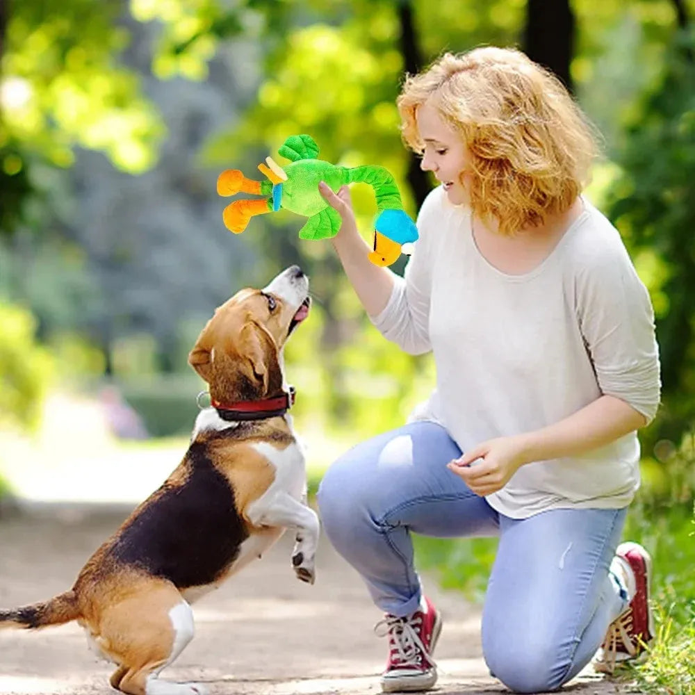 Chicken-shaped dog squeaker toy in orange colour showing bite-resistant rubber construction