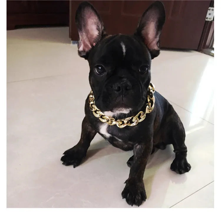 Geometric twisted chain dog collar with buckle on a white background, shown in gold colour options.