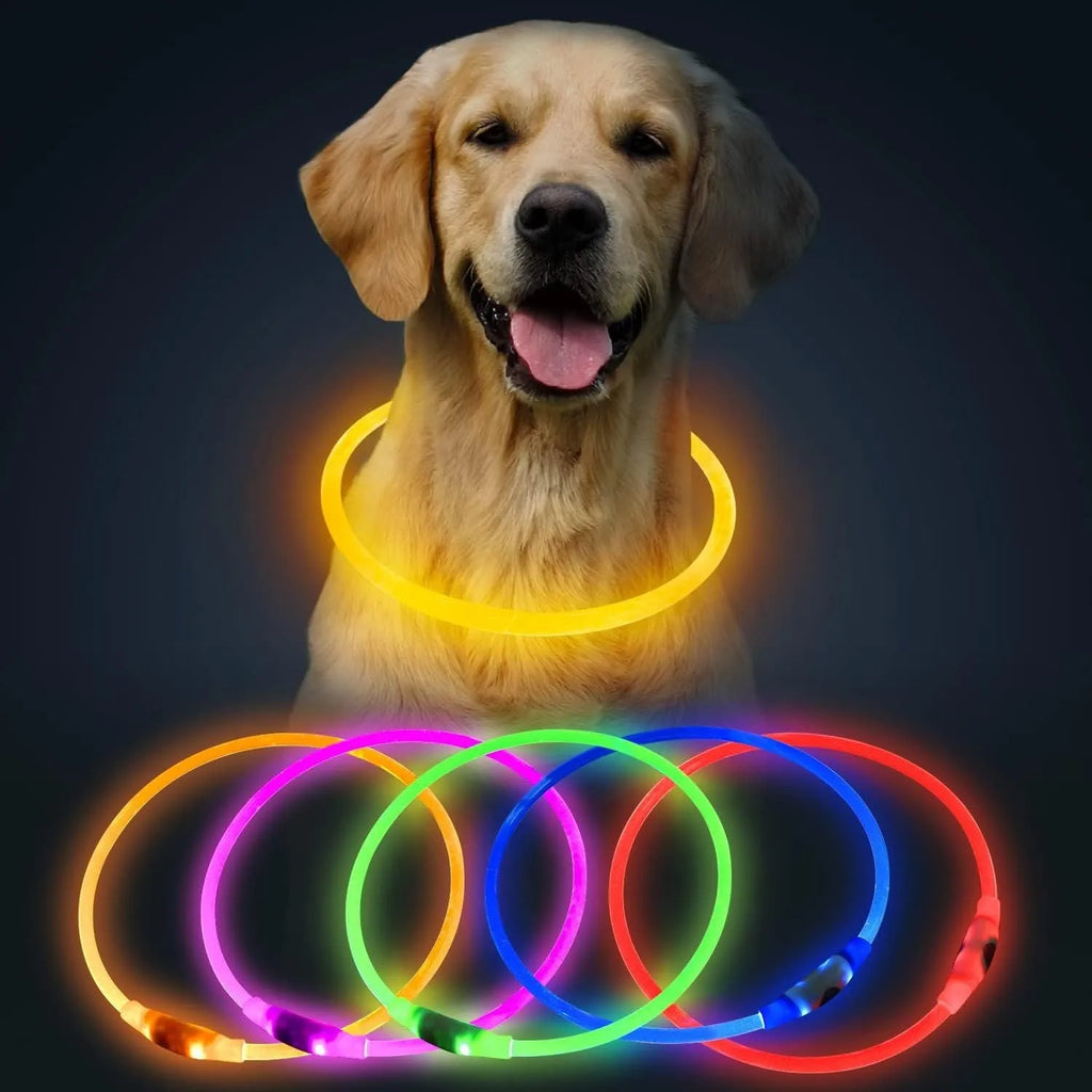 Blue USB rechargeable LED dog collar glowing around dog's neck with adjustable 70cm length