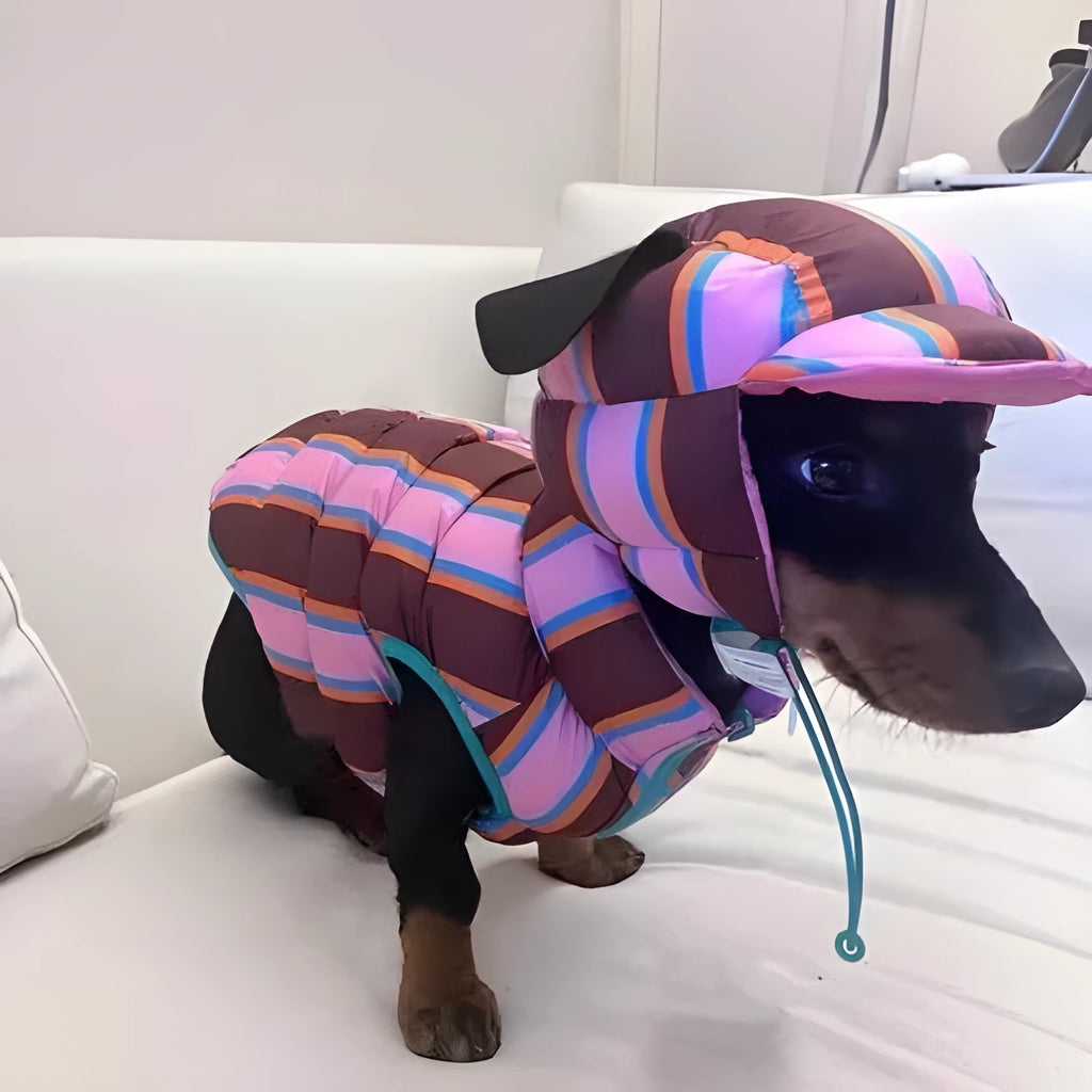 Dirty pink striped dog vest with matching hat for autumn and winter wear