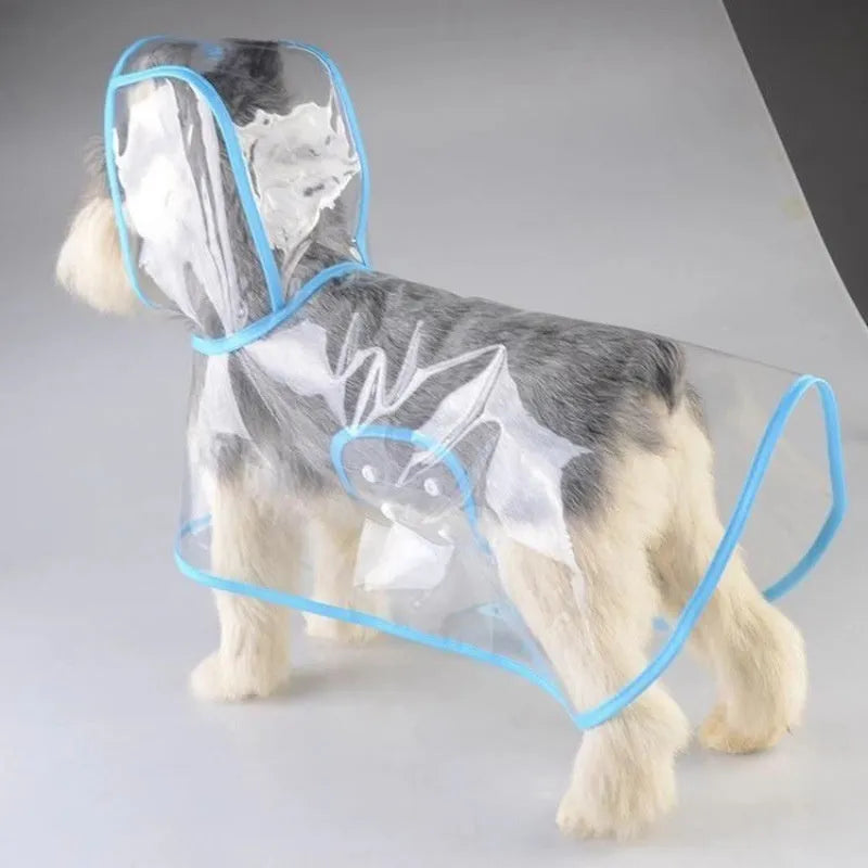 Pet raincoat for small dog, plastic waterproof coat in blue, with pull-on design, available in sizes XS to 8XL