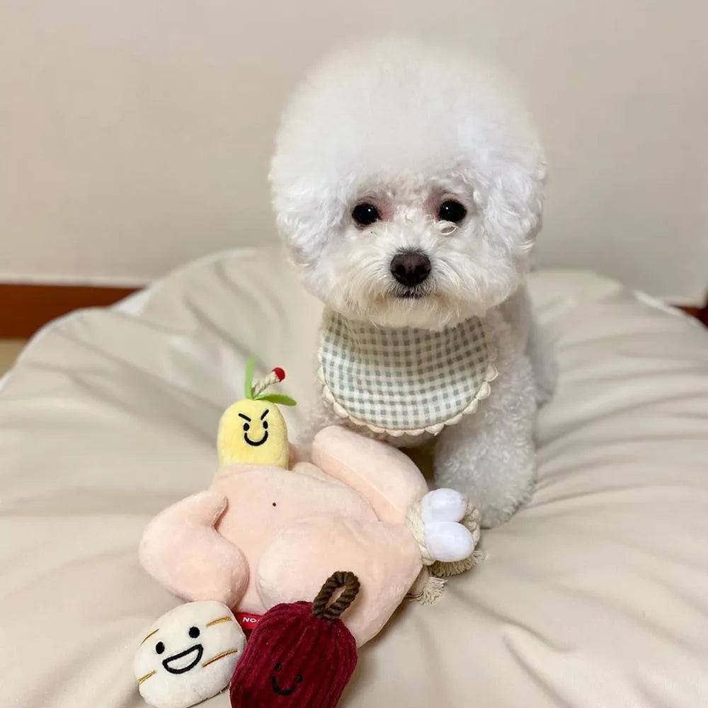 Cartoon plush chicken toy with jujube, chestnut, ginseng, and molar rope for dog and cat play