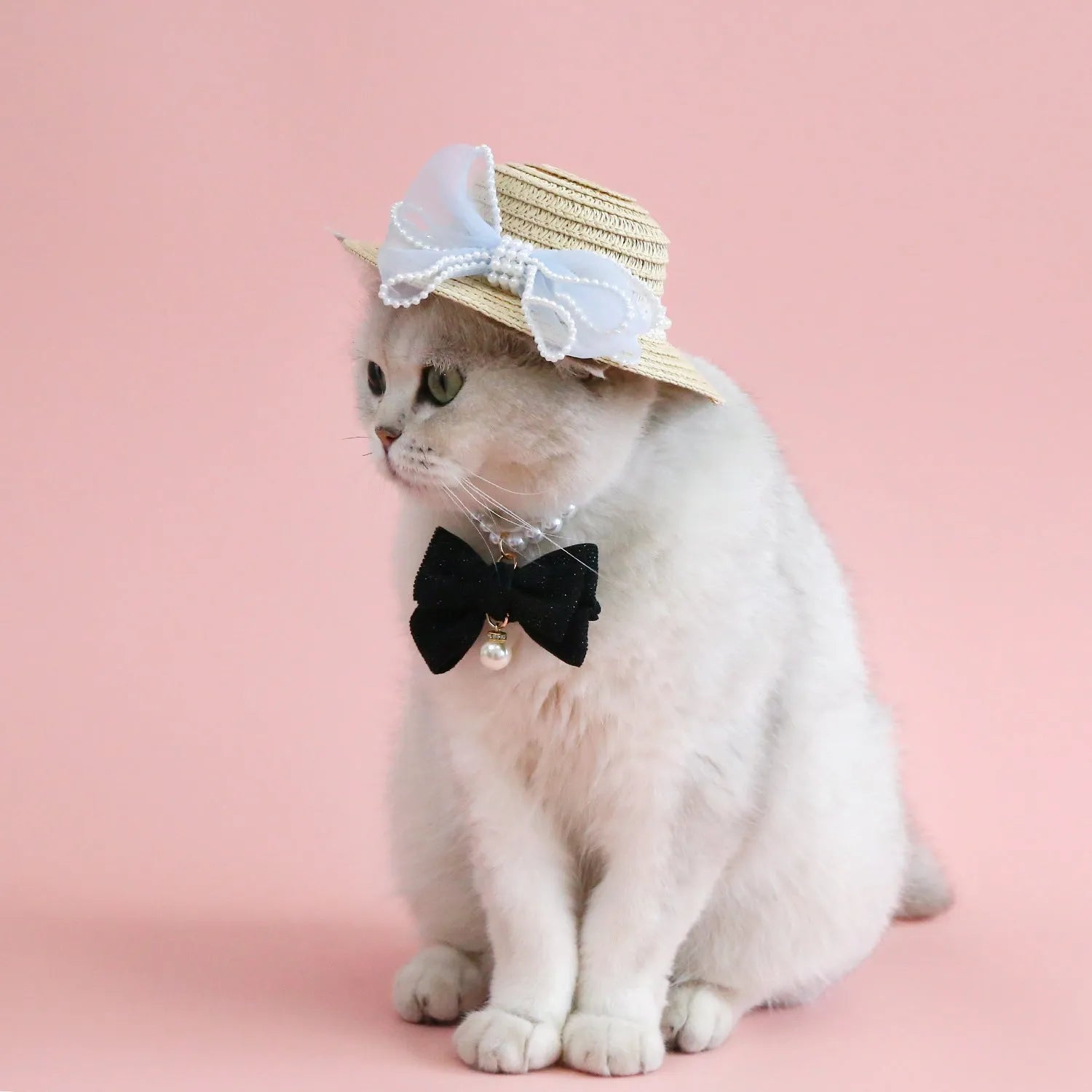 Woven Lafite leaf cat hat with pearl butterfly bow decoration in pink, purple, blue or white colours