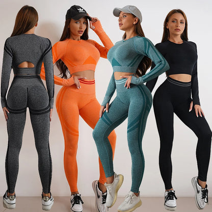 Premium seamless activewear collection featuring nylon tops, leggings, and suits in various colors