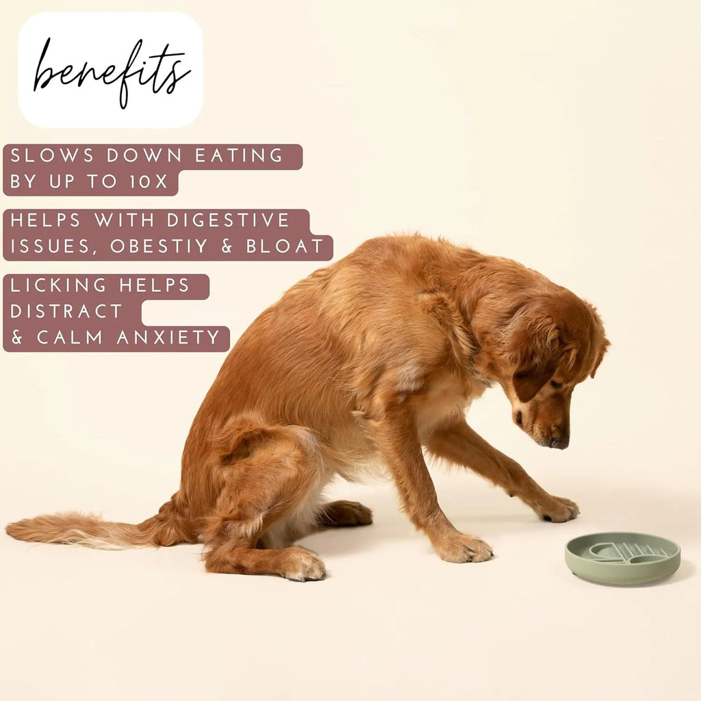 Slowdown Bowl silicone dog slow feeder with ridges in beige colour on white background