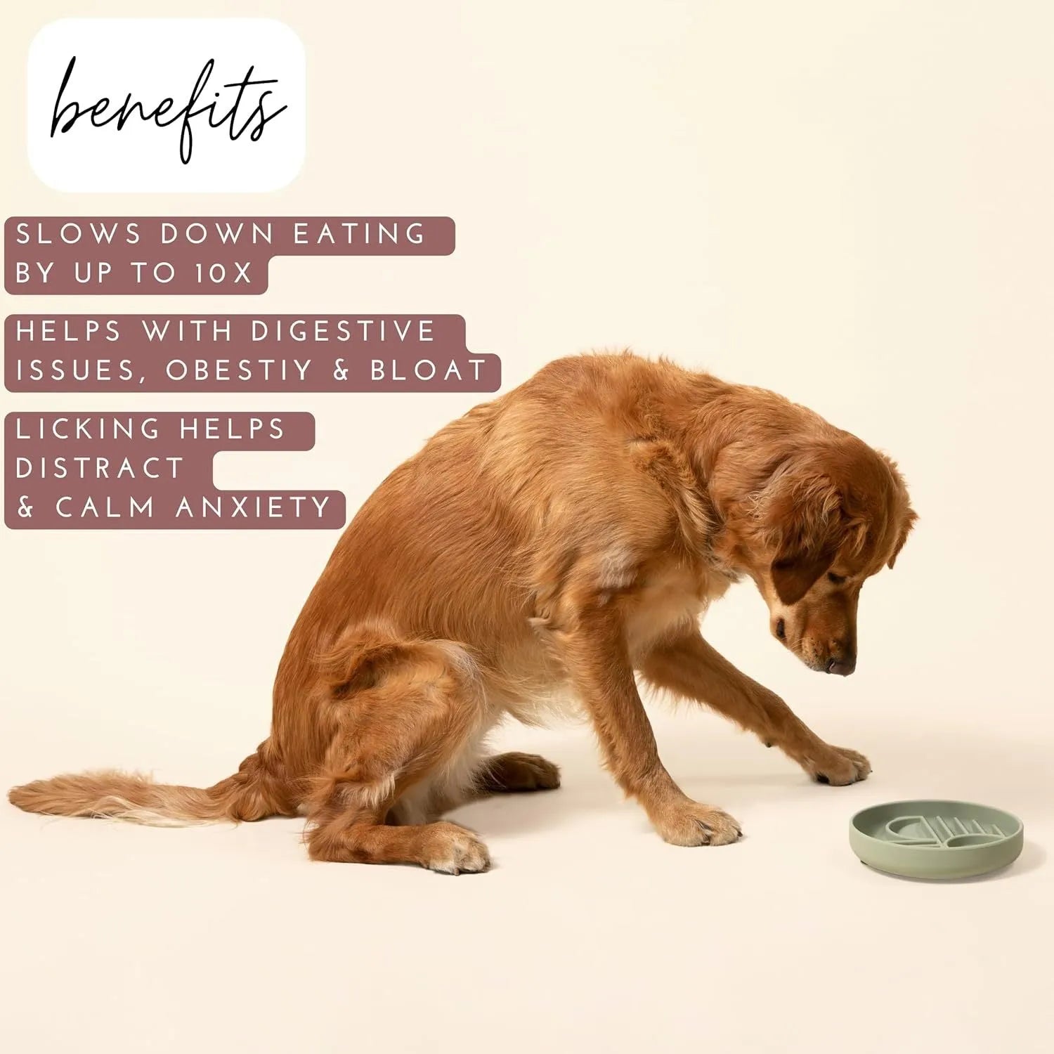 Slowdown Bowl silicone dog slow feeder with ridges in beige colour on white background