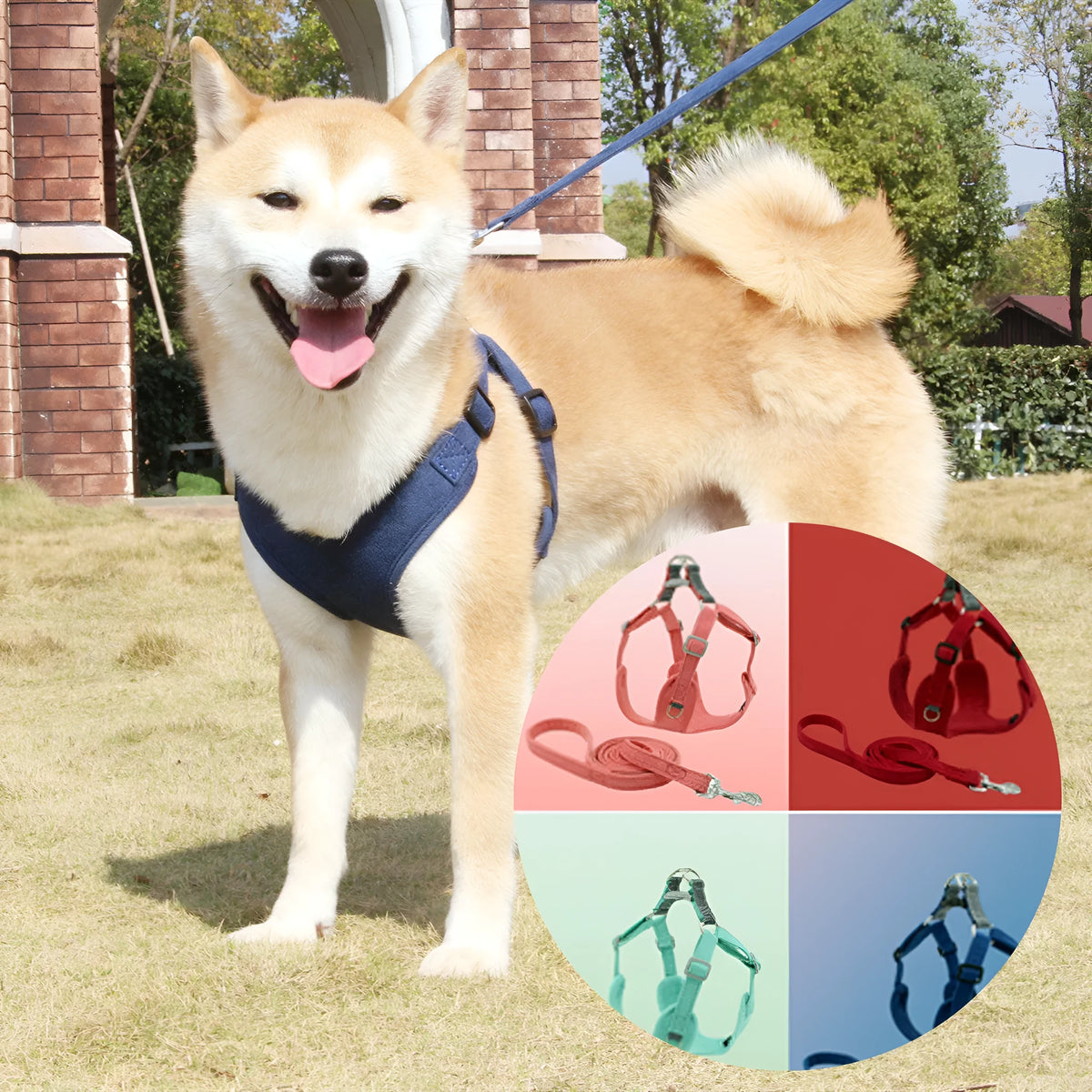 Suede pet chest harness dog vest leash set in red with 150cm traction rope and adjustable neck and bust straps