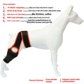 Dog hind leg knee brace assist strap in neoprene with adjustable straps for joint support