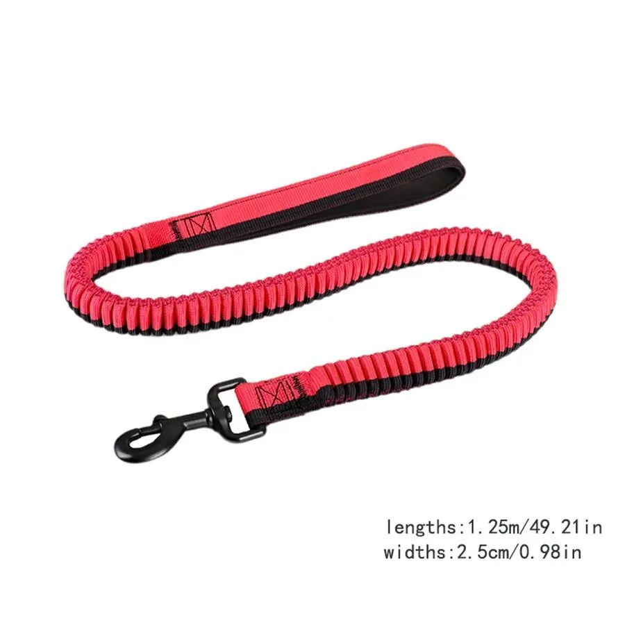 Green elastic dog training leash with metal clip for medium to large dogs