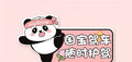 Novice driver car bumper sticker with bear design measuring 23x12 cm with reflective options