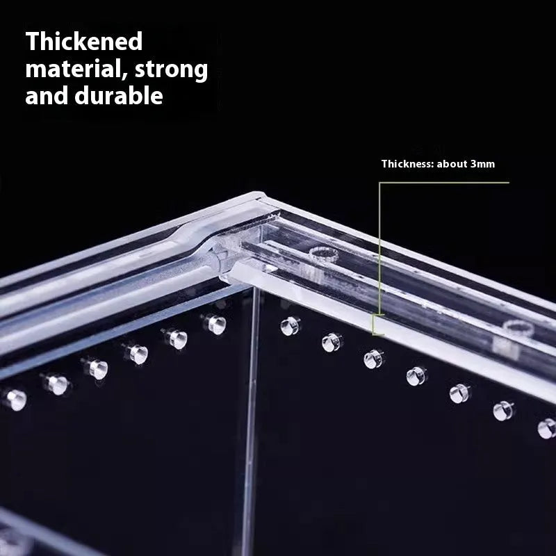 Transparent acrylic reptile feeding box enclosure for pet lizards or snakes.