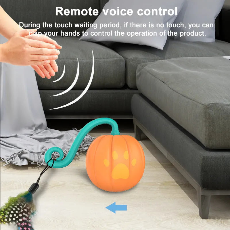 Electric cat teasing ball with LED lights in watermelon and pumpkin colour designs on wooden floor
