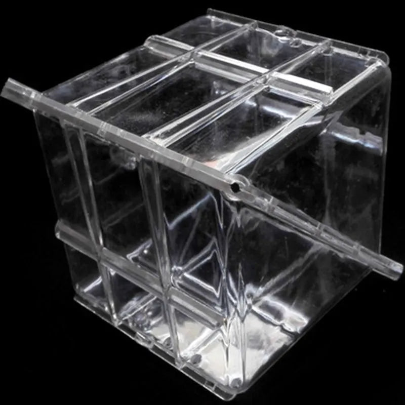 Square plastic watermelon growth mould for fruit shaping measures 13x13x13cm