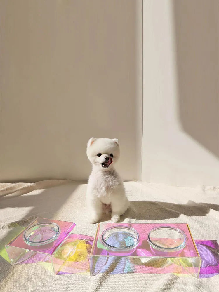 Pet Rainbow Bowl acrylic pet feeder with holographic finish and glass bowl for cats and small dogs