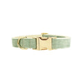 Soft corduroy dog collar with a plastic quick-release buckle shown in various colours.