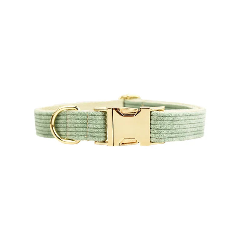 Soft corduroy dog collar with a plastic quick-release buckle shown in various colours.
