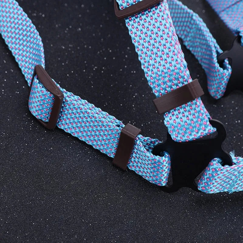 Nylon dog traction belt hand-held rope in blue for small medium large pets walking training