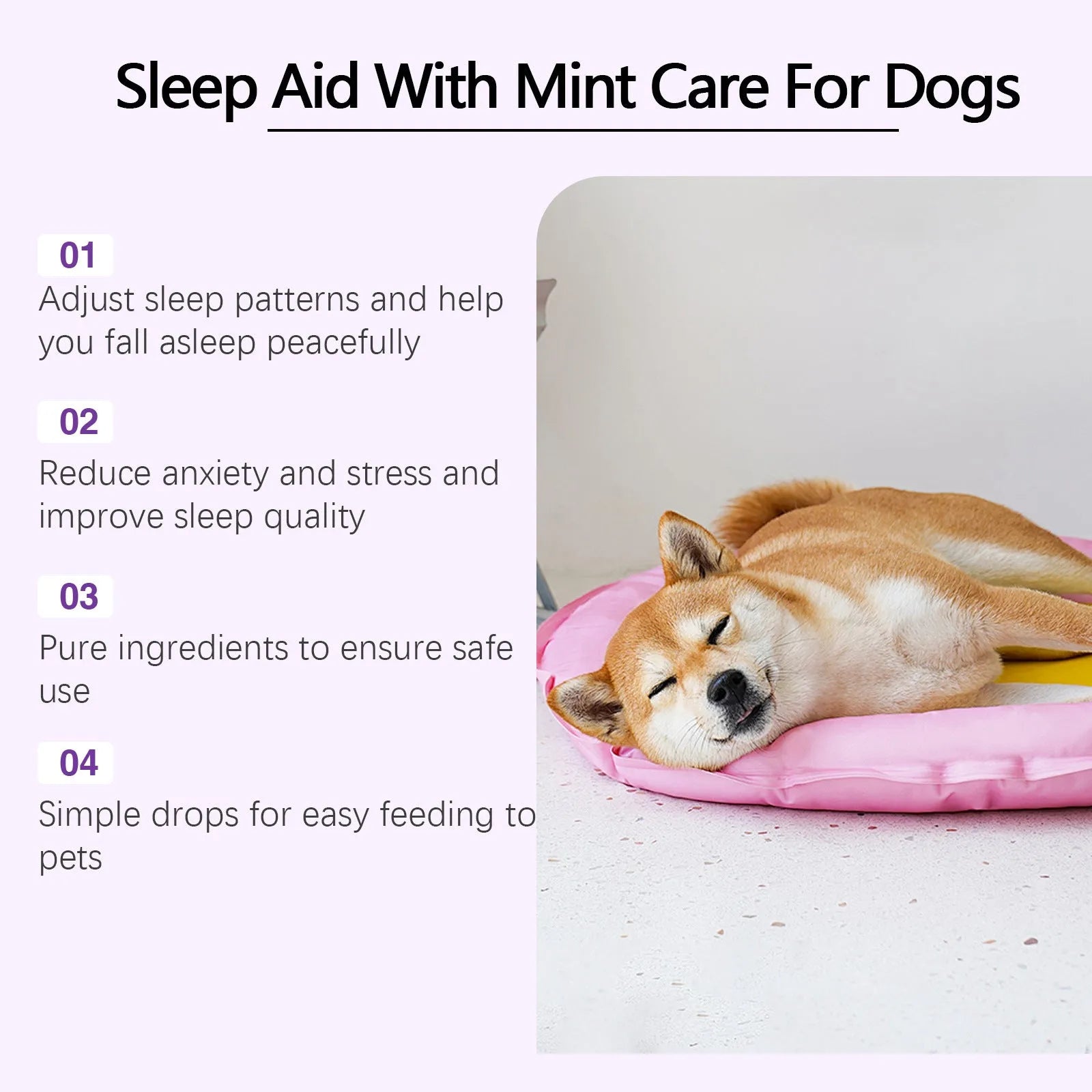 60ml bottle of dog sleep drops with mint extract formula for canine night-time support