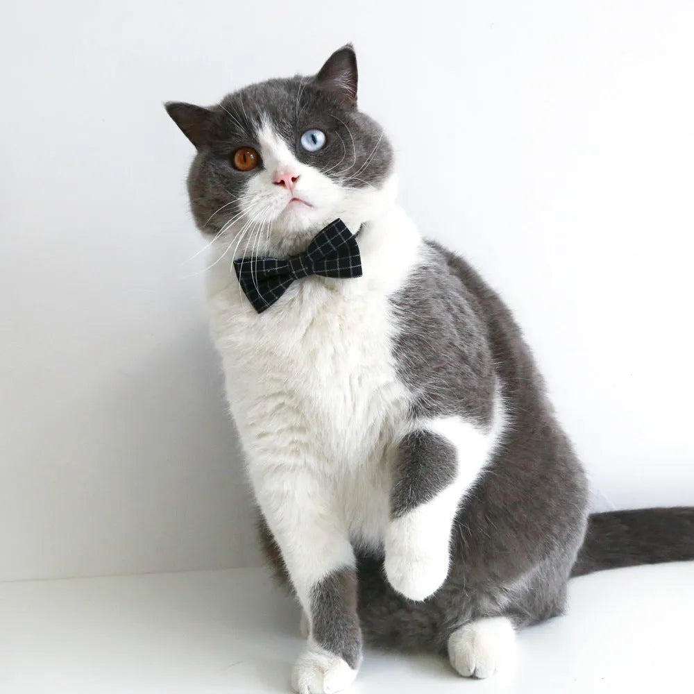 British style wool felt pet hair band and bow tie set in four colours for weddings and carnivals