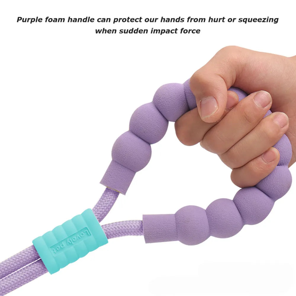 Nylon dog traction leash with a black foam handle on a coloured rope.
