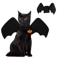 Black cloth dog Halloween bat costume with 3D foldable wings on a small pet