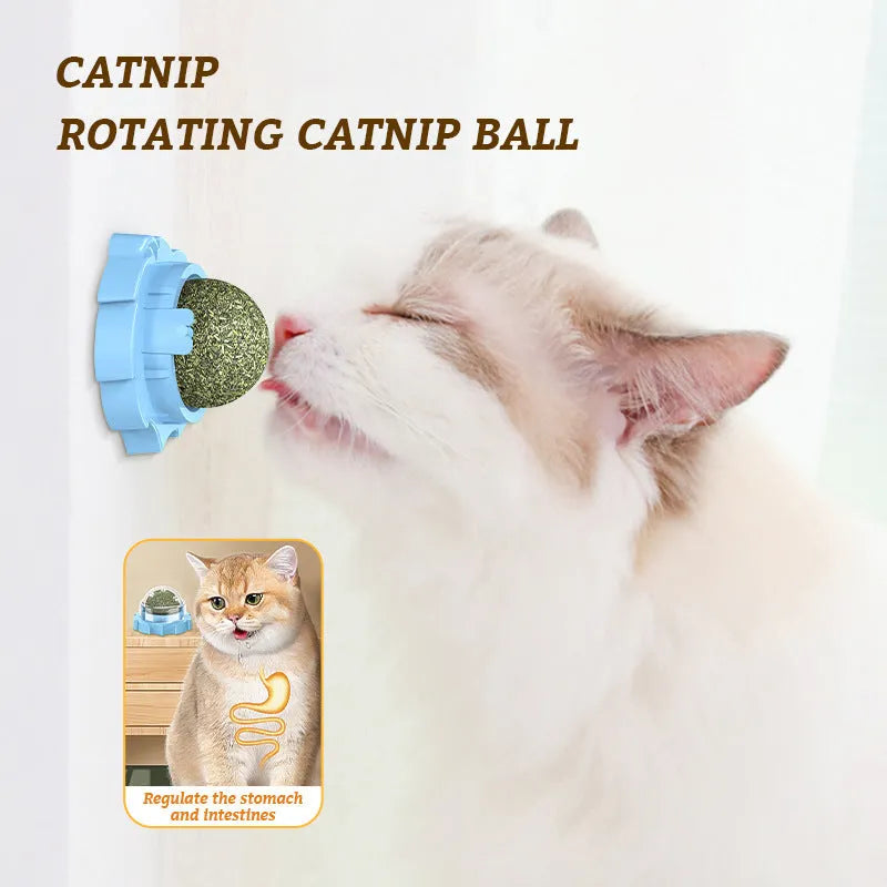 Orange, pink, and blue adhesive molar-shaped cat toys with a sticky base.