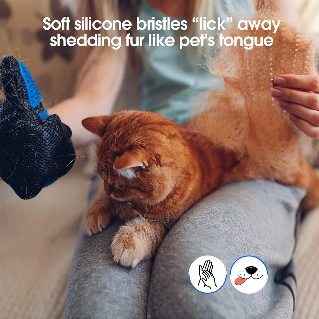 Blue silicone pet grooming glove with 255 massage tips and adjustable wrist strap