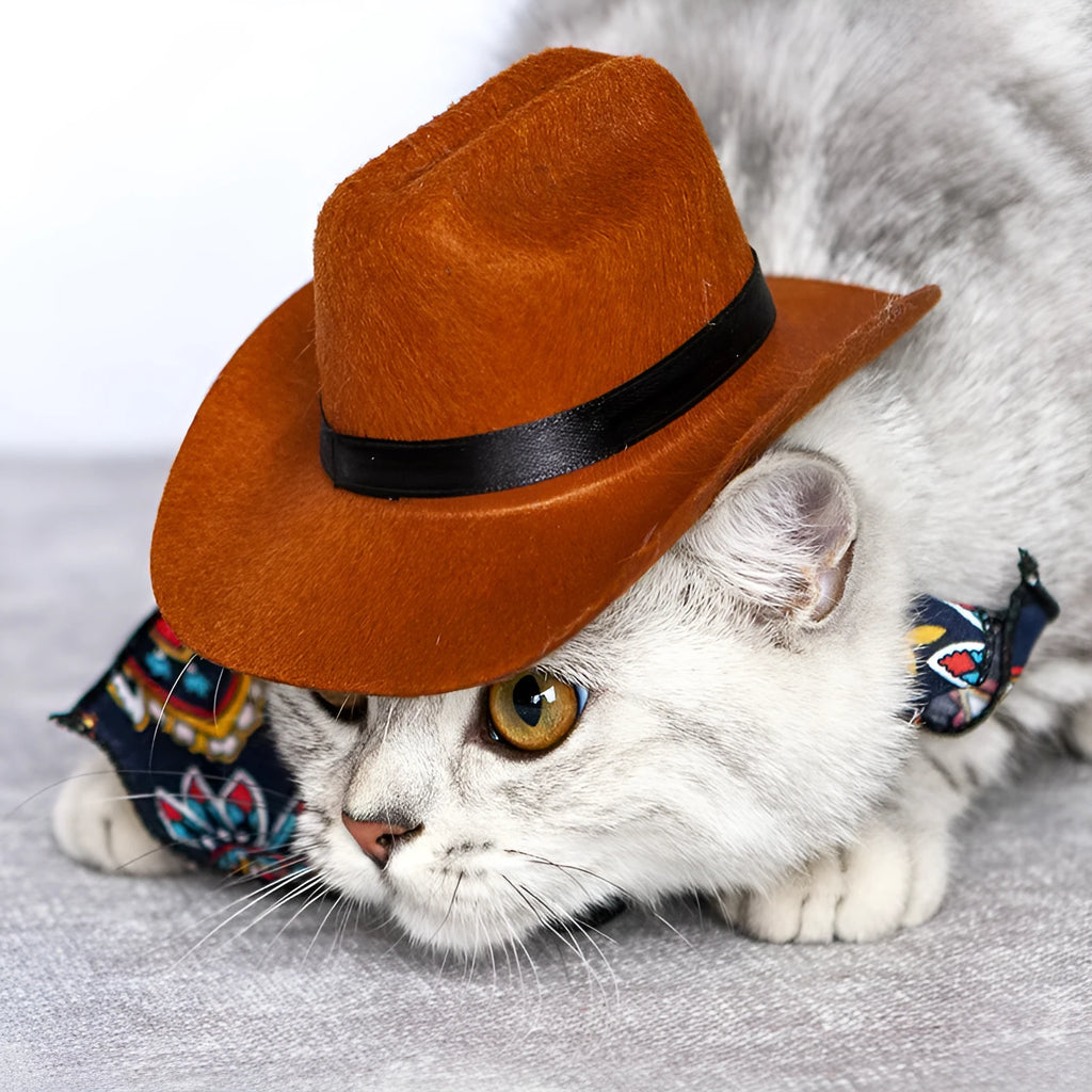 Small brown and straw cowboy hats for pet cats in S M and free sizes