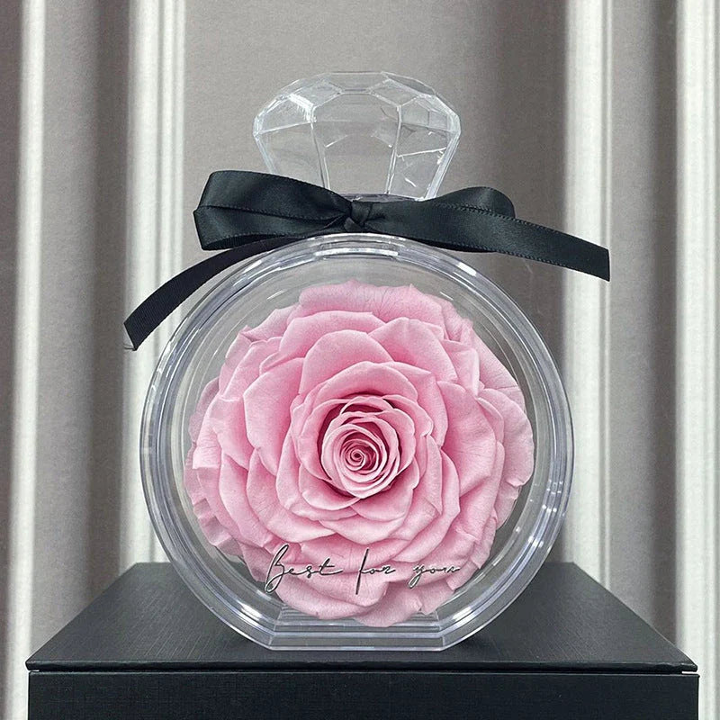 Elegant preserved dried floral ornaments in a transparent display case, available in a variety of vibrant colors