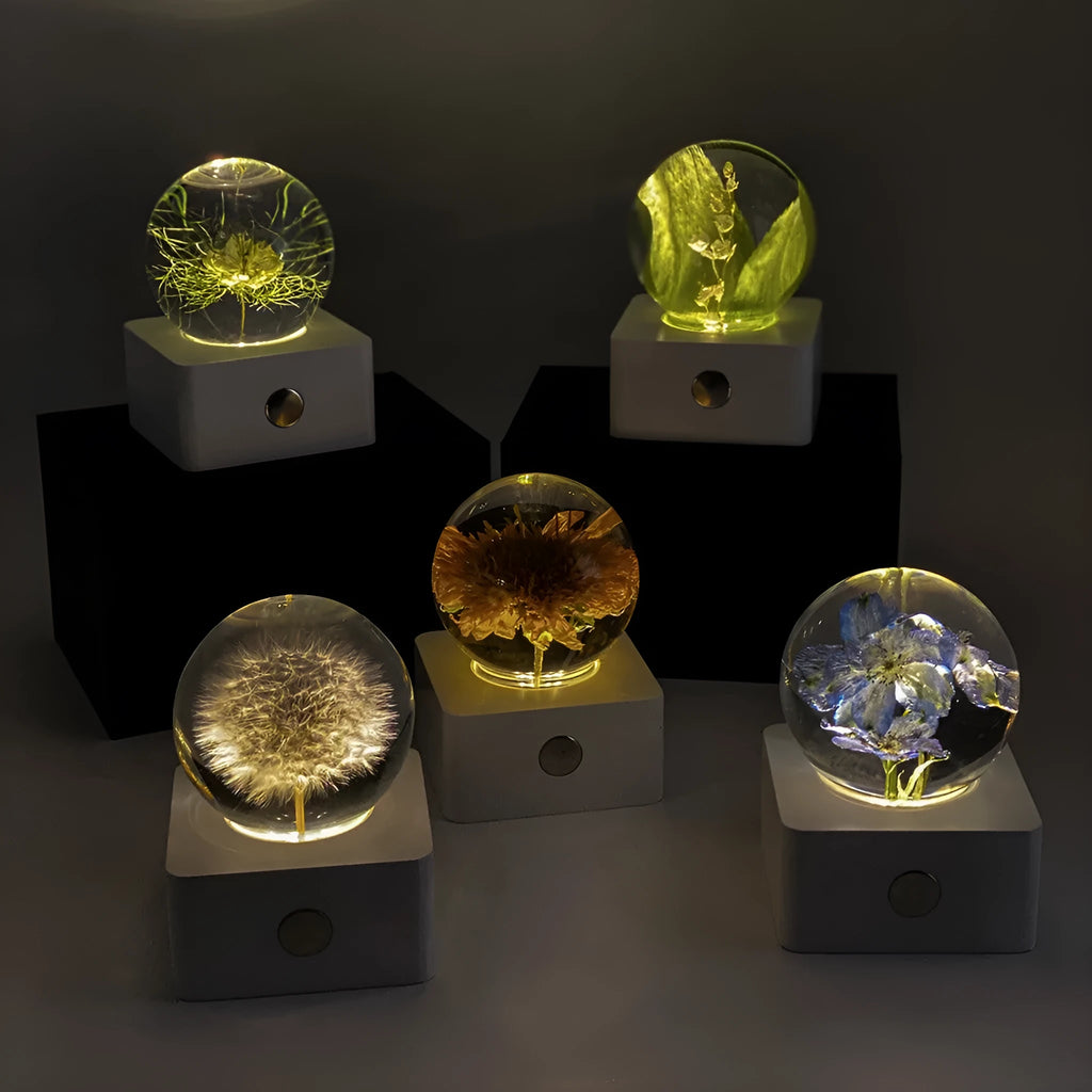 8cm USB desktop night light with preserved dandelion and sunflower botanical specimen