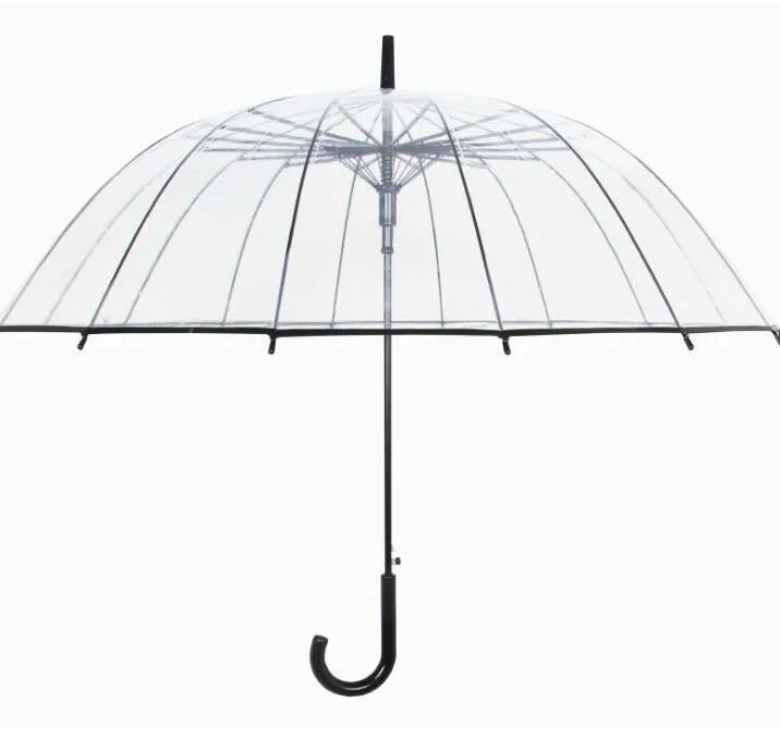 Long handle transparent umbrella with black steel frame and white canopy