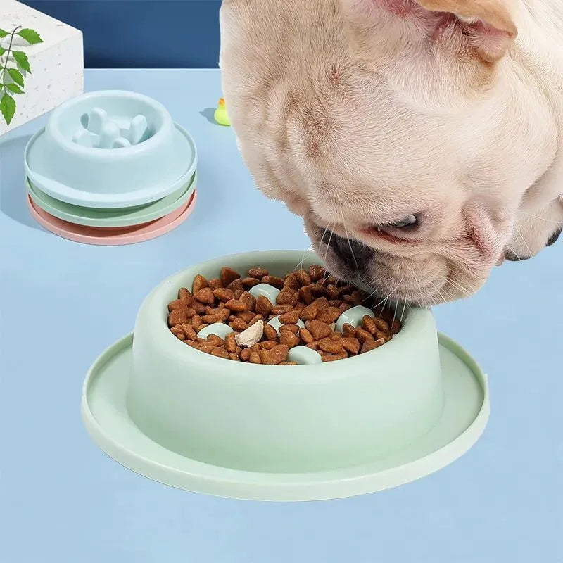 Blue slow feeder dog bowl with raised maze pattern and non-slip base.