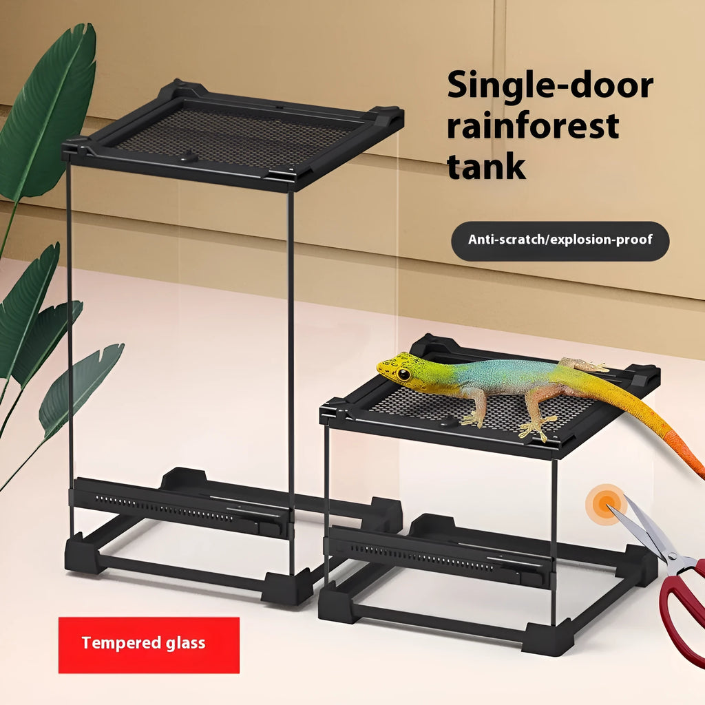 Transparent glass cylinder enclosure for lizard and turtle climbing and feeding
