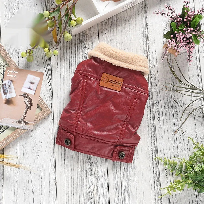 Red British-style PU leather dog coat with fleece lining for autumn and winter warmth on miniature pet