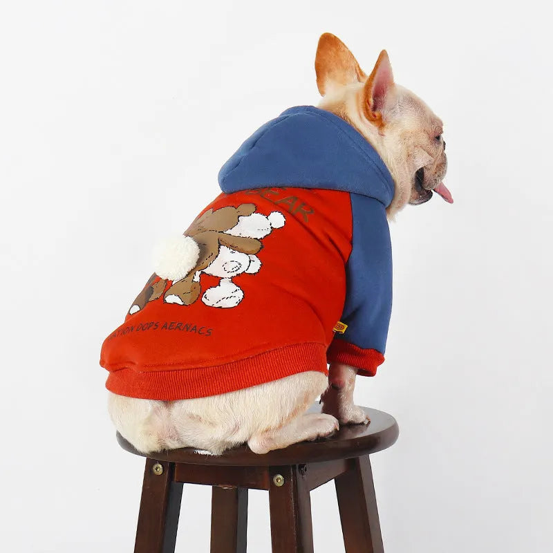 Red cotton dog jumper shown on a small to medium-sized dog, suitable for breeds like Teddy or Bichon.