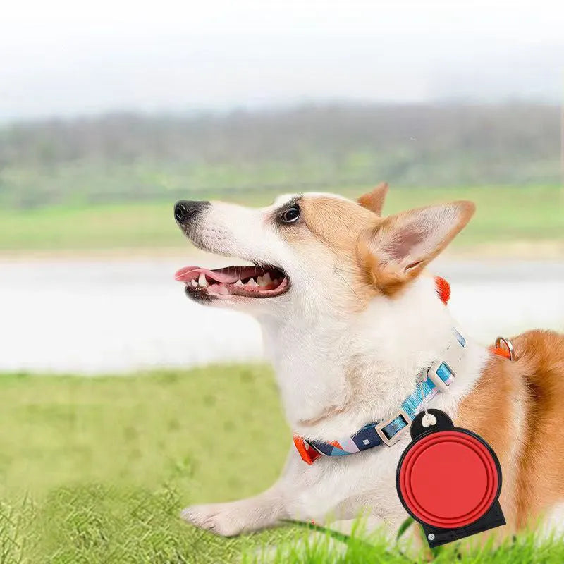 Blue folding silicone pet bowls collapsed and expanded with non-slip mat for dogs and cats