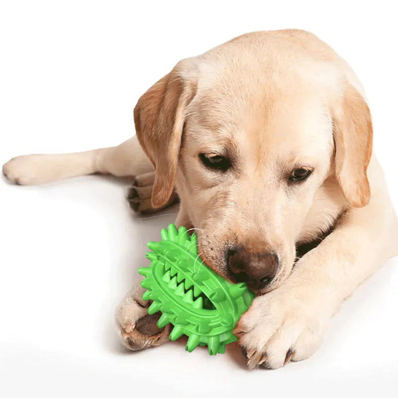 Green cactus-shaped dog toothbrush toy with textured bumps and a central treat channel on a white background.